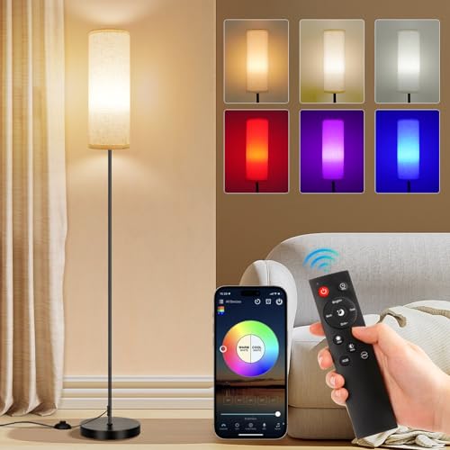Modern FRIDEKO HOME Floor Lamp, 9W 800LM Color Changing Set